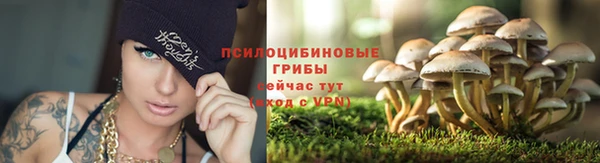 MESCALINE Дмитров