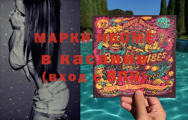 ПСИЛОЦИБИНОВЫЕ ГРИБЫ Гусев